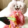 チェンマイで見つけたピンク色のそうめん？！を食べてみたら予想外の味がしたΣ(･ω･ﾉ)ﾉ！