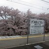 この春最後の東京行き