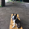 雨上がりの競技場