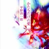 電子書籍時代、文芸が生き残るために　芥川賞作家・平野啓一郎さんに聞く (1/3) - ITmedia eBook USER