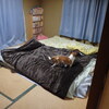 毛布
