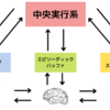 記憶を司るネットワーク：内側側頭葉を中心とした機能的結合性解析