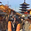 ハロプロ2018年11月21日（水）