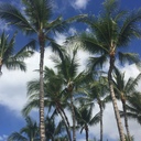 ハワイ好き主婦hinaの旅行ブログ