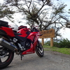 CBR250R MC41後期型、3万キロインプレ