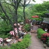 【追記あり】実写版ラピュタの空中庭園・鎌倉樹ガーデンがリニューアル