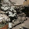 明日は草履道？って願っています