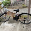 電動自転車を買いました。