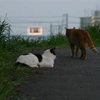 ちょっとした嘘が招く人間不信という深刻な病