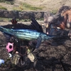 Mhw その他 ゲーム内時間について 調査 Mhw調査員aの調査記録