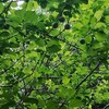 只今、モデムを待っています。