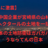 【宮崎県に激震】中国企業が宮崎県の700ヘクタールの土地を一括購入