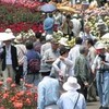 神代植物公園に薔薇を見に行った