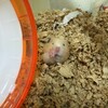みそあん284日目