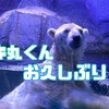 八景島シーパラダイスのユキ丸くんに会うためだけに…