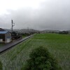 雨にしては。