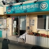 てっちり君の通院