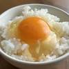 【うさぎとかめ】昆布茶で卵かけご飯のレシピ！みながわ！草彅剛・やすとも【6月8日】