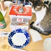 2022.12.24 今年迎えた愛猫・冴ゆを交えた初めてのクリスマス