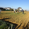 神原町花の会 (花美原会)(229)     ポピー畑の冬越し支度