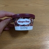 （箱タイプ）Häagen-Dazs デザートテーブル  ショコラタルト