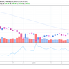 波乱の1月　AAPL Q1決算　株購入