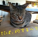 noa’s blog