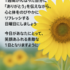 さわやかな日曜日の朝に