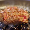 【焼肉】川崎市の人気焼き肉店まとめ！！　～焼肉の聖地からちょっと上品なお店まで～　孤独のグルメに登場する名店も！