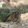 同居の再開🐚🐚