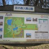 彩の森入間公園_不思議な木・・（埼玉県入間市）