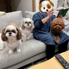 山形はまだ寒かった