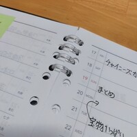 ルーズリーフvsシステム手帳 a5サイズ対決 桜葉の手帳 ルーズリーフvsシステム手帳 a5サイズ対決 桜葉の手帳