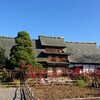 【shioritz旅行記】塩山の町を行き当たりばったりで巡る