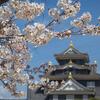 岡山城/お城の基本情報やイベント、周辺施設の紹介/日本100名城（岡山県岡山市）