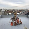 定点観測の難しさ