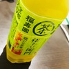 ☆9/25☆緑茶