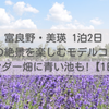 札幌から富良野・美瑛 1泊2日モデルコース！ラベンダー畑に青い池、感動の絶景巡り!【1日目】
