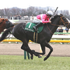 日曜競馬　展望
