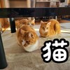 今年の漢字を予想してみたよ！