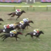 ５月２４（土）　勝負・注目レース結果　ー馬連690円的中(-_-;)