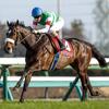 競馬初心者必見☆馬券予想🔥〜スプリングS〜連勝の勢いそのままクラシックへ！