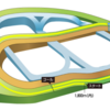 第439R　中山競馬　スプリングS（GⅡ）　参考データ
