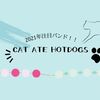 【2021年間違いなく人気になる】関西出身のCAT ATE HOTDOGSは聴くべき最高のバンド