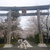 ●お花見へ🌸　その１　高麗神社