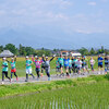 安曇野ハーフマラソン　エントリー中