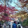 2021年12月5日(日)興禅院の紅葉(川口市)