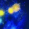 保育園児との暮らしで役立った工夫｜お出かけ・遊び・生活【体験まとめ】
