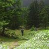 夏休みの山 －初めての道－