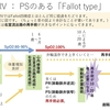 DORV(両大血管右室起始症)　その5　{S.D.N}DORV Fallot type、primary IVFとsecondary IVFについて　　〜疾患40